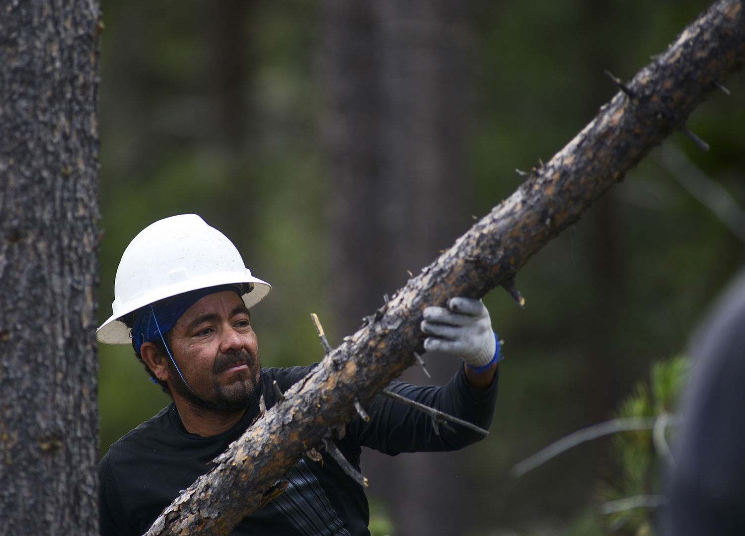 Hector Montes adds another log onto the top of a pile